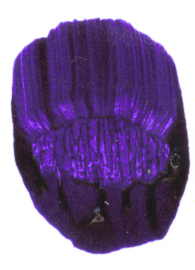 Above Ground Studioworks Acrylic – 75mL – Dioxazine Purple Hue 