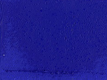 Gamblin Artist Oil 8oz Cobalt Blue