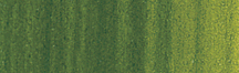 Winsor & Newton Winton Oil Colour  37mL  Sap Green