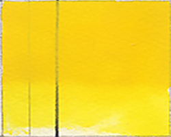 Golden QoR Cadmium Yellow Deep 11mL