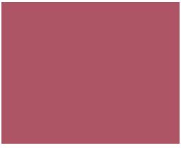 Amsterdam Standard Acrylic 120mL Tube  Permanent Red Purple