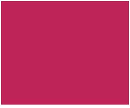 Amsterdam Standard Acrylic 120mL Tube  Quinacridone Rose