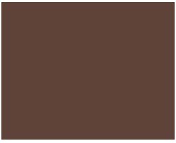 Amsterdam Standard Acrylic  120mL Tube  Burnt Umber