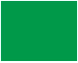 Amsterdam Standard Acrylic  120mL Tube  Permanent Green Light