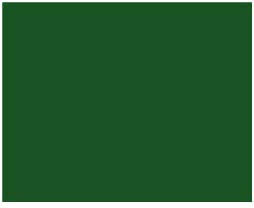 Amsterdam Standard Acrylic  120mL Tube  Sap Green