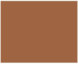 Amsterdam Standard Acrylic 120mL Tube  Raw Sienna