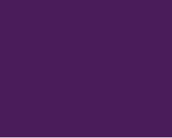 Demco Acrylic 16oz- Dioxazine Purple