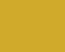 Demco Acrylic 16oz- Yellow Ochre
