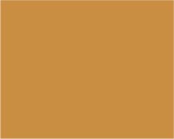 Turner Acryl Gouache – 40mL – Gold Orange
