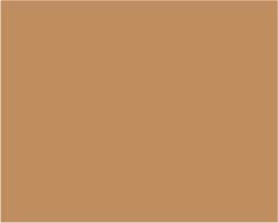 Turner Acryl Gouache  40mL  Bronze