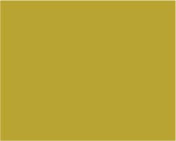 Turner Acryl Gouache – 40mL – Mustard