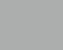 Turner Acryl Gouache  40mL  Japanesque Silver