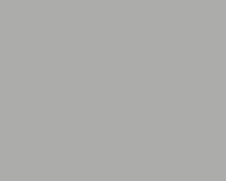 Williamsburg Oil Colour Neutral Gray 6 S1 150ml