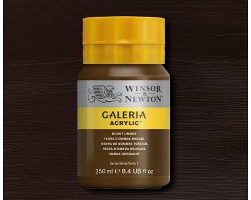 Winsor & Newton Galeria Acrylic Burnt Umber 250ml