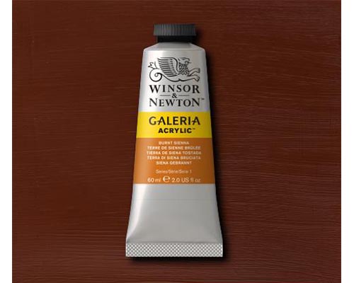 Winsor & Newton Galeria Acrylic Burnt Sienna 60ml