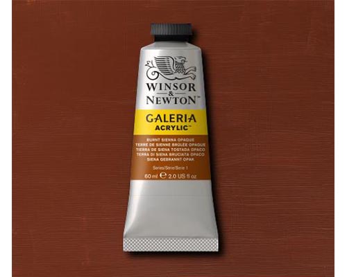 Winsor & Newton Galeria Acrylic Burnt Sienna Opaque 60ml
