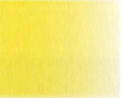 Turner Water Colour 15ml S1 Citrus Yellow