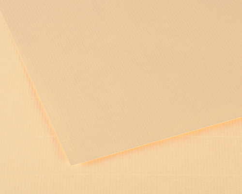 Canson Ingres Vidalon  100gsm  19.5 x 25.5 in.   Cream