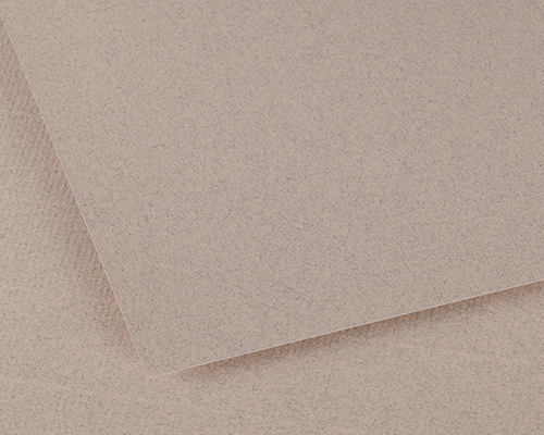 Canson Ingres Vidalon  100gsm  19.5 x 25.5 in.  Moonstone