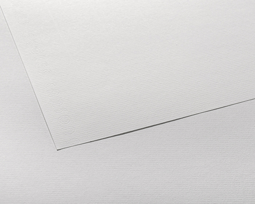 Canson Ingres Vidalon – 100gsm – 19.5 x 25.5 in. – White