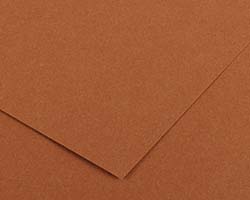 Canson Colorline Art Papers 19"X25" Nut