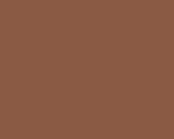 Jacquard 2oz Textile Paint Brown 