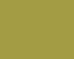 Jacquard 2oz Textile Paint Olive Green 