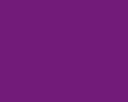 Jacquard Textile Color Fabric Paint 8oz Fluorescent Violet
