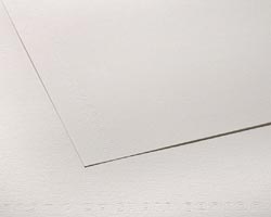 Canson "C"  à Grain  224g  Sheet 19.5 x 25.5 in.