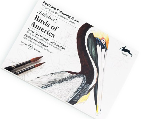 Pepin Postcard Colouring Book- Audubon Birds Of America