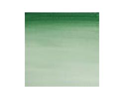 Winsor & Newton Cotman Watercolour Hooker's Green Dark S1 21ml