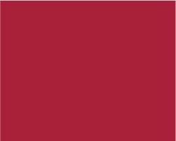Turner Acryl Gouache  20mL Tube  Japanese Deep Red