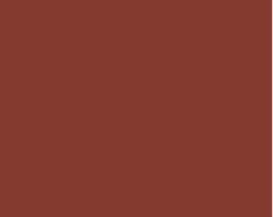 Turner Acryl Gouache  20mL Tube  Japanese Red Brown