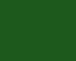 Turner Acryl Gouache – 20mL Tube – Japanese Deep Green