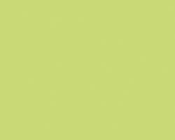 Turner Acryl Gouache  20mL Tube   Pearl Lime