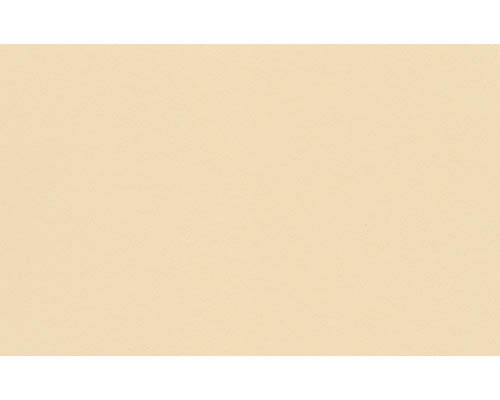 Crescent Decorative Mat Board  3291 French Buff 32 x 40 in.