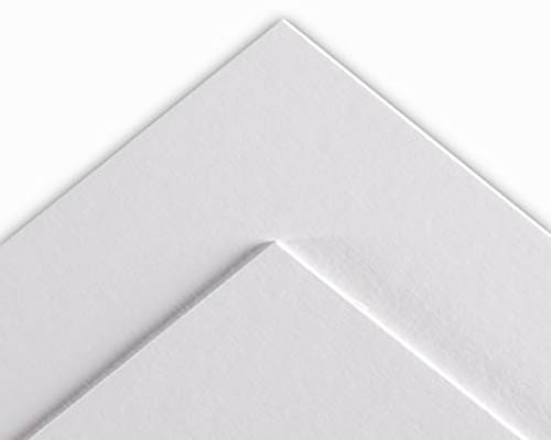 Canson Art Board 16 x 20 in. Edition Bright White