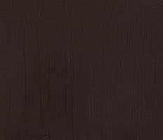 Winsor & Newton Professional Acrylic Burnt Umber 60ML