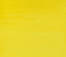 Winsor & Newton Professional Acrylic Cadmium Lemon 60ML