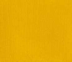 Winsor & Newton Professional Acrylic Cadmium Yellow Medium 60ML