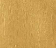 Winsor & Newton Professional Acrylic Gold 60ML