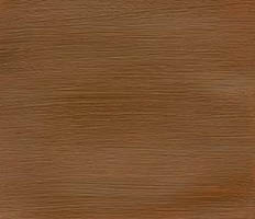 Winsor & Newton Professional Acrylic Raw Sienna 60ML