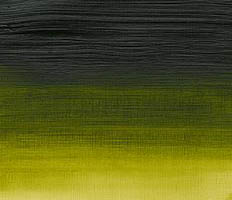 Winsor & Newton Professional Acrylic Permanent Sap Green 200ML