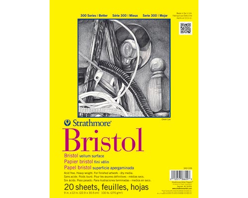 Strathmore 300 Series Bristol Vellum - 9 x 12 in.