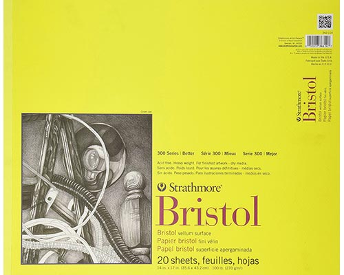 Strathmore 300 Series Bristol Vellum - 14 x 17 in.