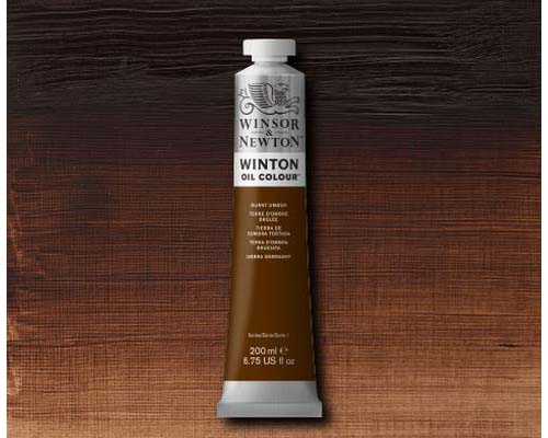 Winsor & Newton Winton Oil Colour - Burnt Umber - 200 mL