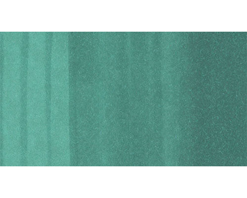 Copic Ciao Double-Ended Marker -  G17 Forest Green