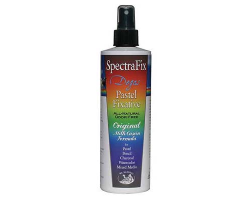 SpectraFix Degas Spray Fixative  12oz