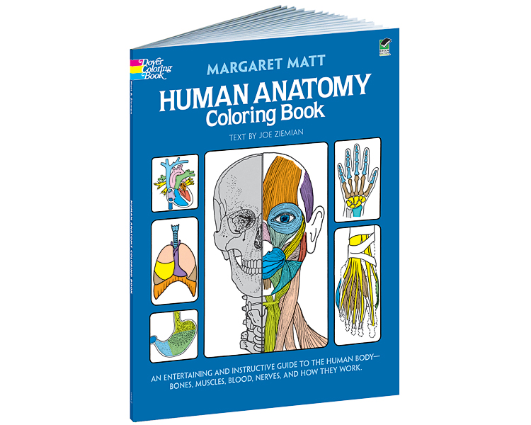 Dover Color Book Human Anatomy