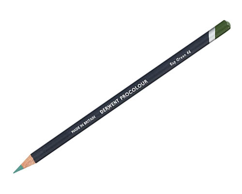 Derwent Procolour Coloured Pencils – Sap Green